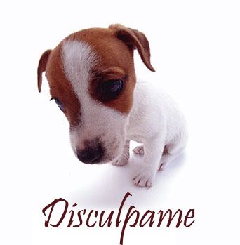 disculpame.jpg image by pixvirtual