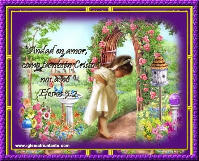 > <br></a><br>