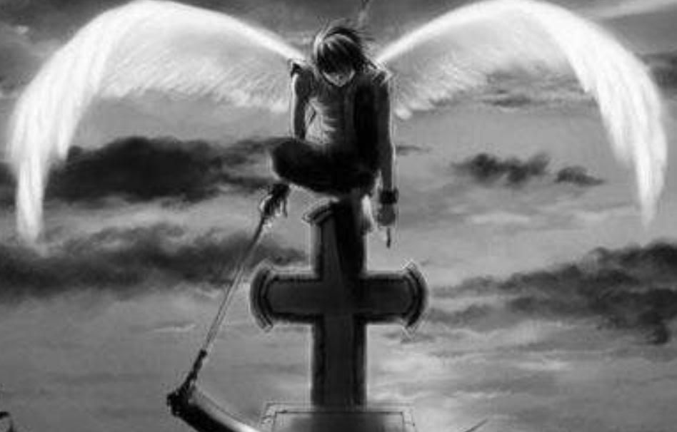 imagenes imagenes