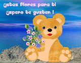 flores