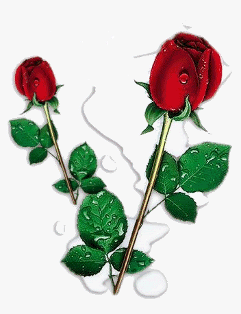 rosasrojas.gif rosas rojas image by KarVero