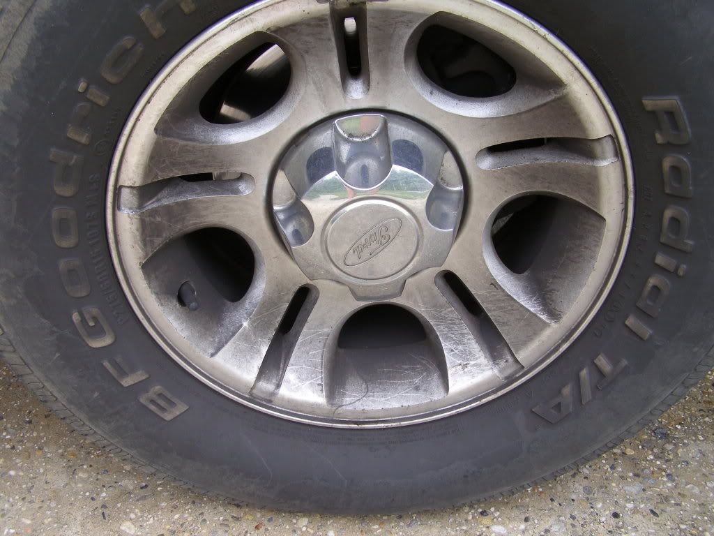 P1010046.jpg