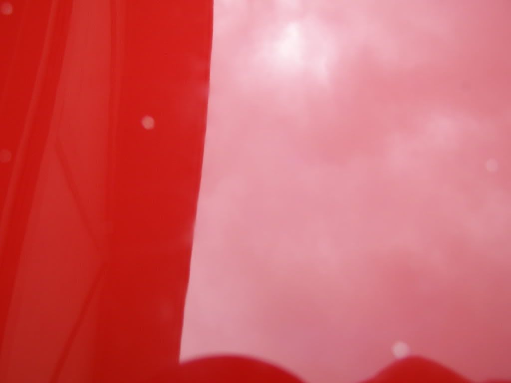P1010052.jpg