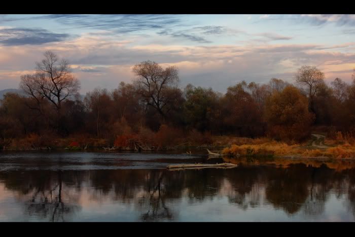 IMAGE: http://i184.photobucket.com/albums/x95/Cristi-E/IMG_0674_ps_.jpg