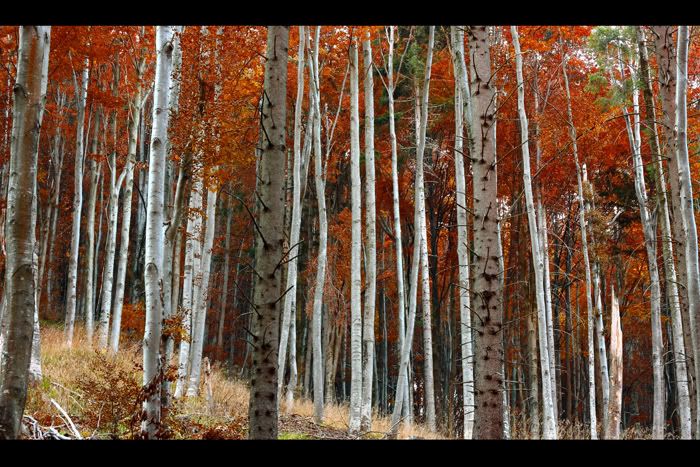 IMAGE: http://i184.photobucket.com/albums/x95/Cristi-E/IMG_0756_ps1.jpg