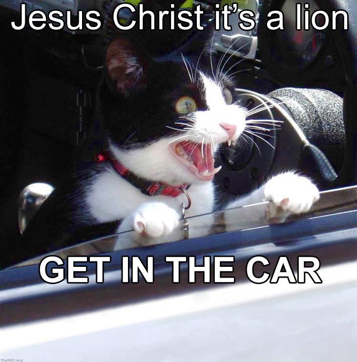 Jesus_Christ_its_a_lion_Get_In_The_.jpg