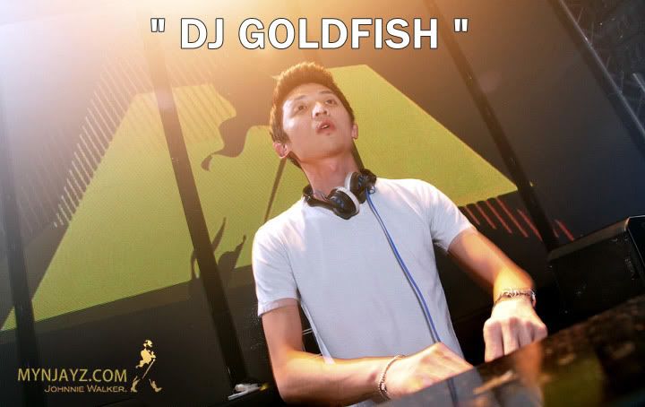 Dj Goldfish