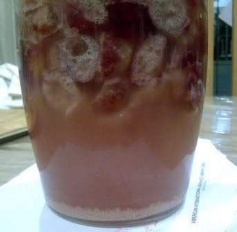 Day 4 (grapewine)