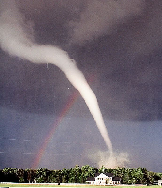 Hungry Tornado