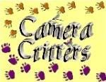 Camera Critters