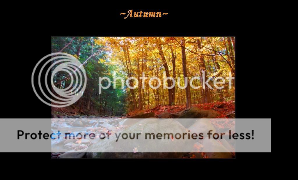 AutumnSetting.jpg