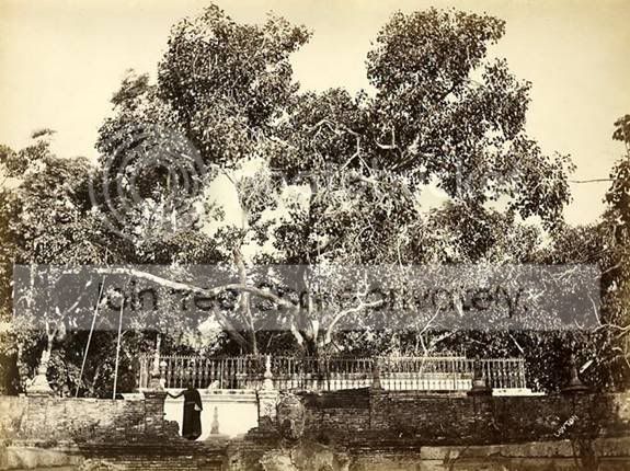 ATT00018.jpg