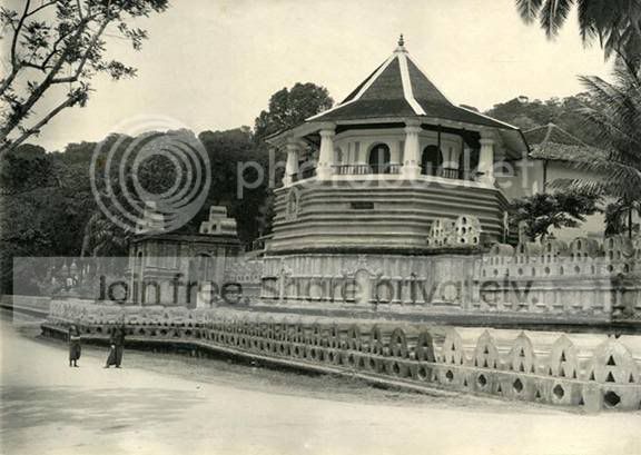 ATT00025.jpg