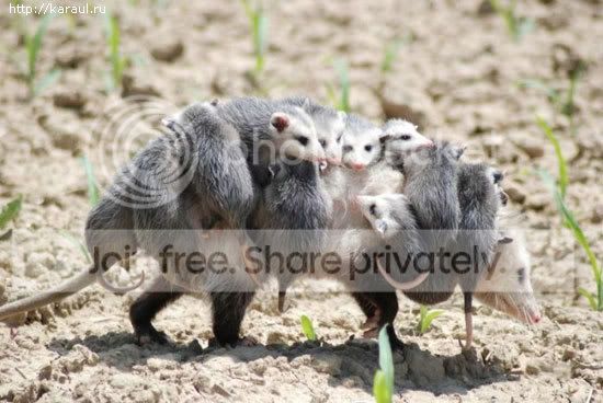 image005-2.jpg